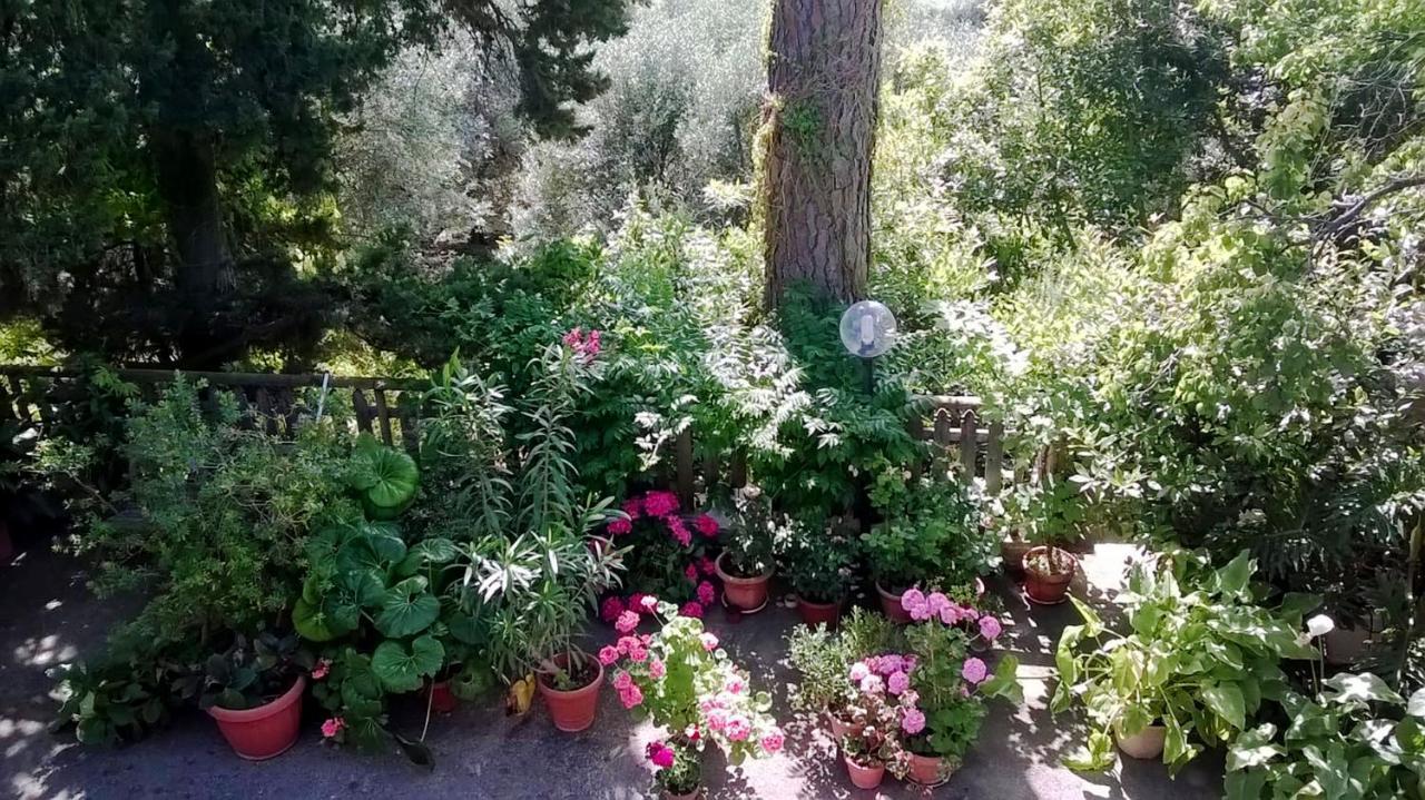 Апартаменты A Casa Di Carla Террачина Экстерьер фото